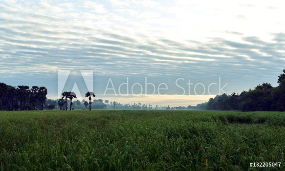 Bild på Early morning rural area of Cambodia near Angkor Tepmles